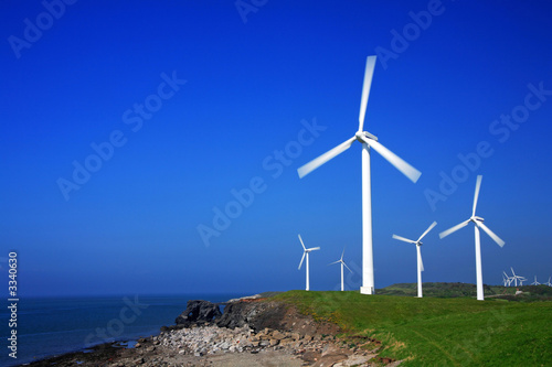 wind farm with copy space