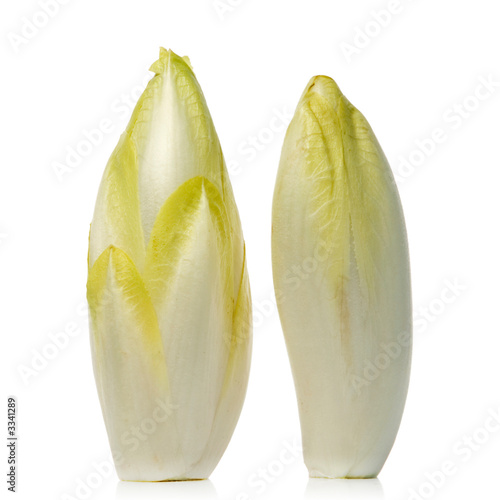 chicory