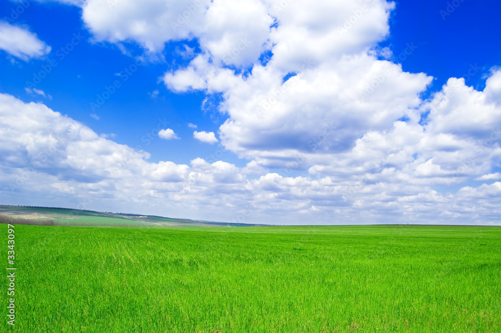 the fields and sky.