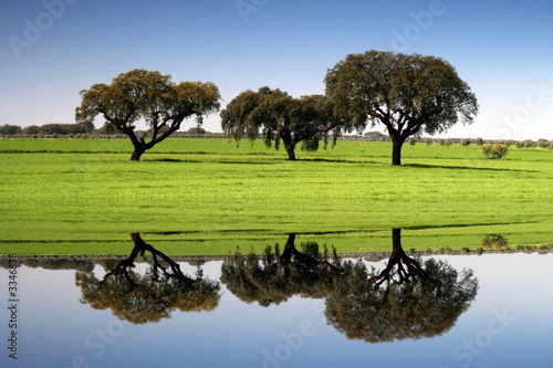 alentejo landscape photo