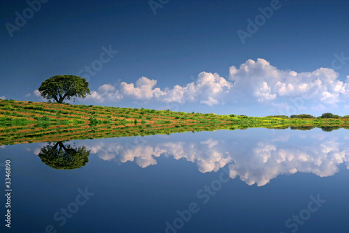 alentejo landscape