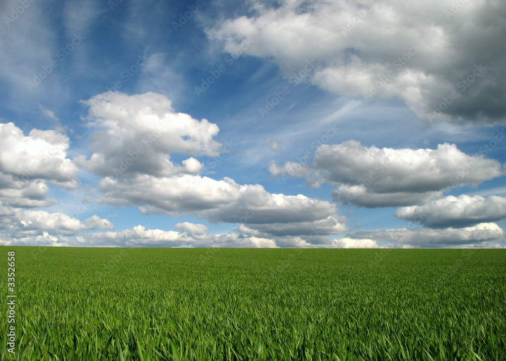 green meadow cloudy blue sky background green meadow cloudy blue sky background