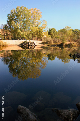 Εκτύπωση καμβά riparian reflection