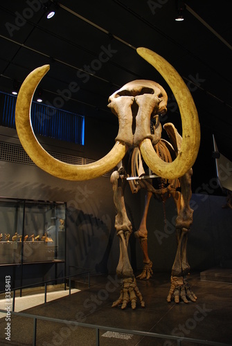 ice age mammoth