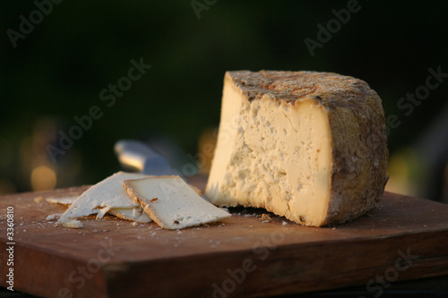 cheese