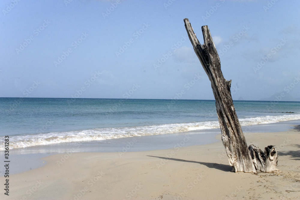 plage de martinique