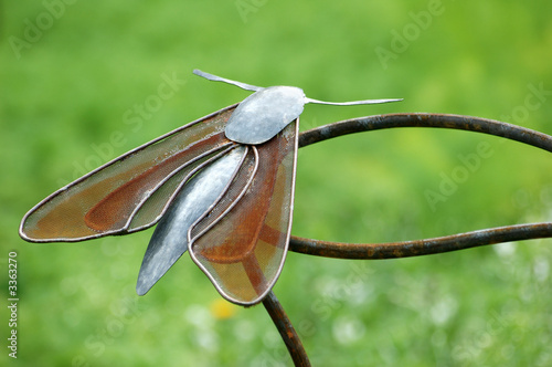 papillon métalique