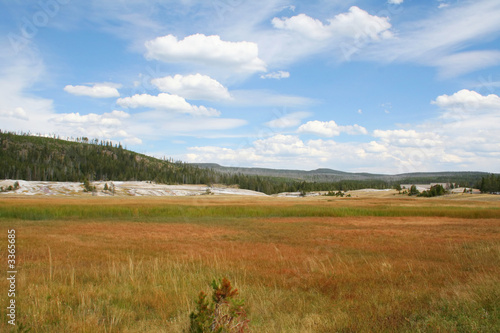 valley meadow
