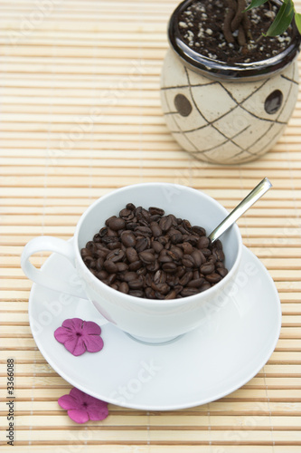 coffee beans in a white cup with a plant in the ba