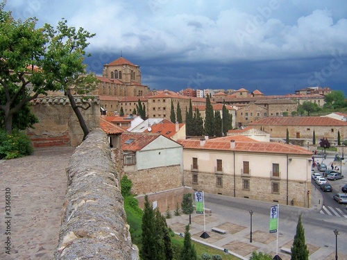 vista de salamanca