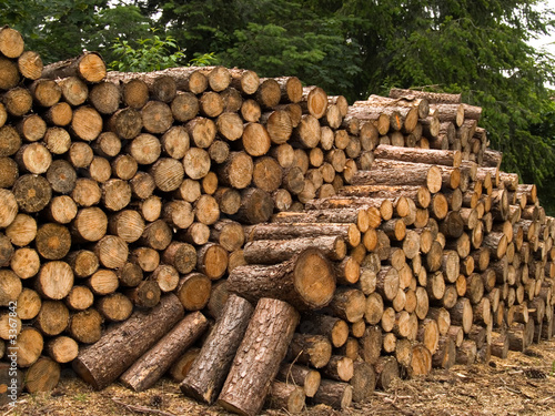 holzstapel