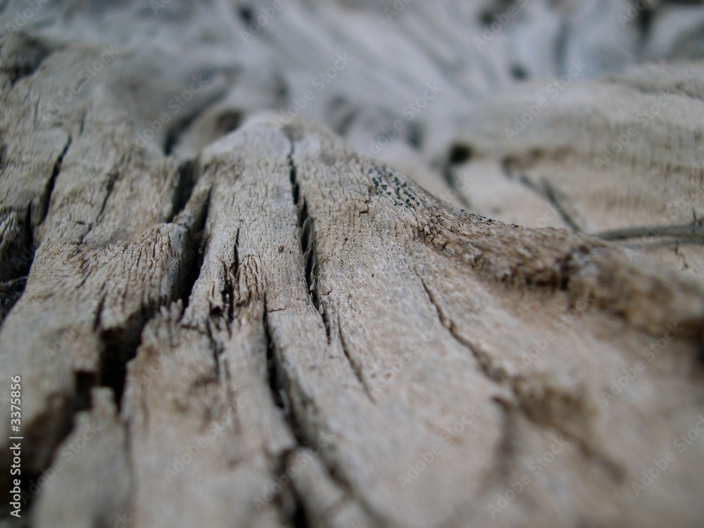 holz 1 holz 1