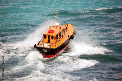 pilot boat in government cut