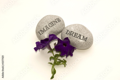 garden stones with flower.