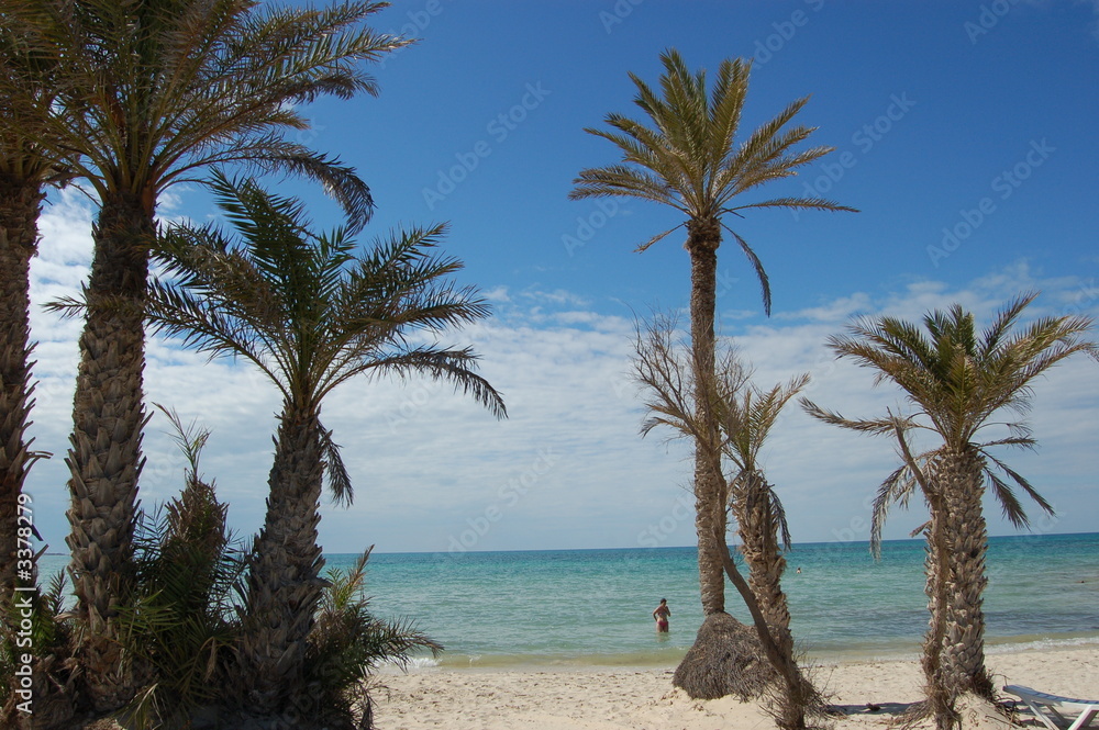 plage palmiers