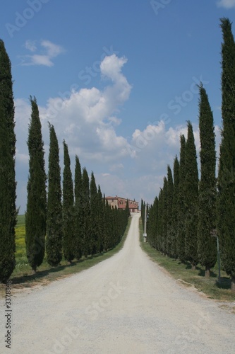 allee