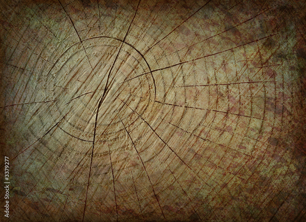 Naklejka premium grunge trunk background