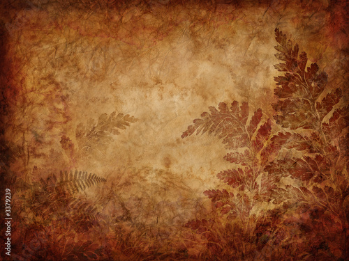 fern pattern background photo