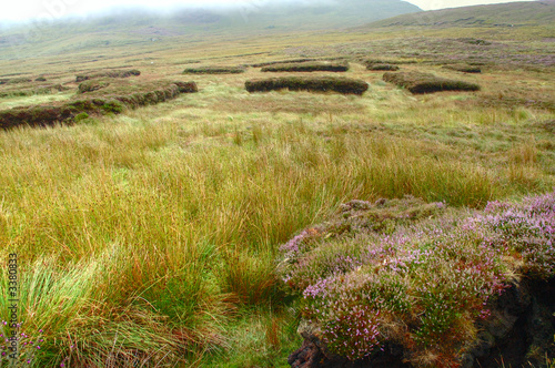 lande irlandaise