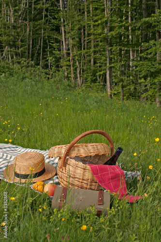 panier de pique-nique dans l'herbe