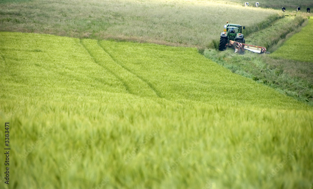 travaux des champs