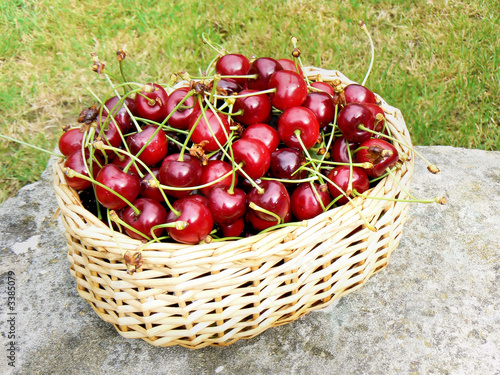 panier de cerises