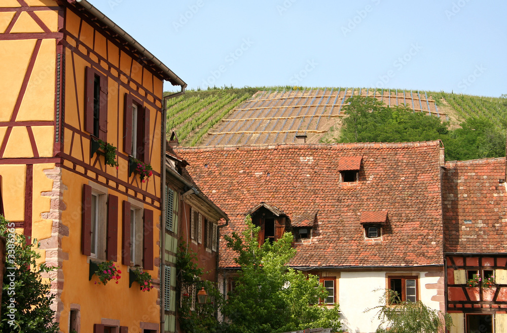 vignes et village