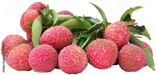 litchis en branche