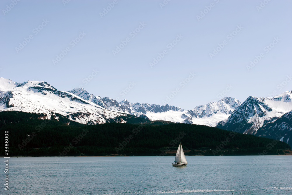 Naklejka premium sailing boat