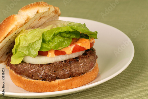 hamburger with red pepper aioli and onions, lettuce and tomato