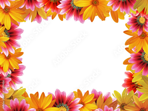 Fototapeta Naklejka Na Ścianę i Meble -  flower frame 4