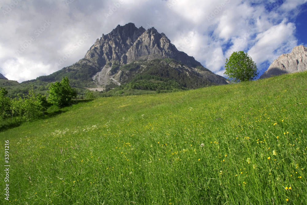 Fototapeta premium valle stura