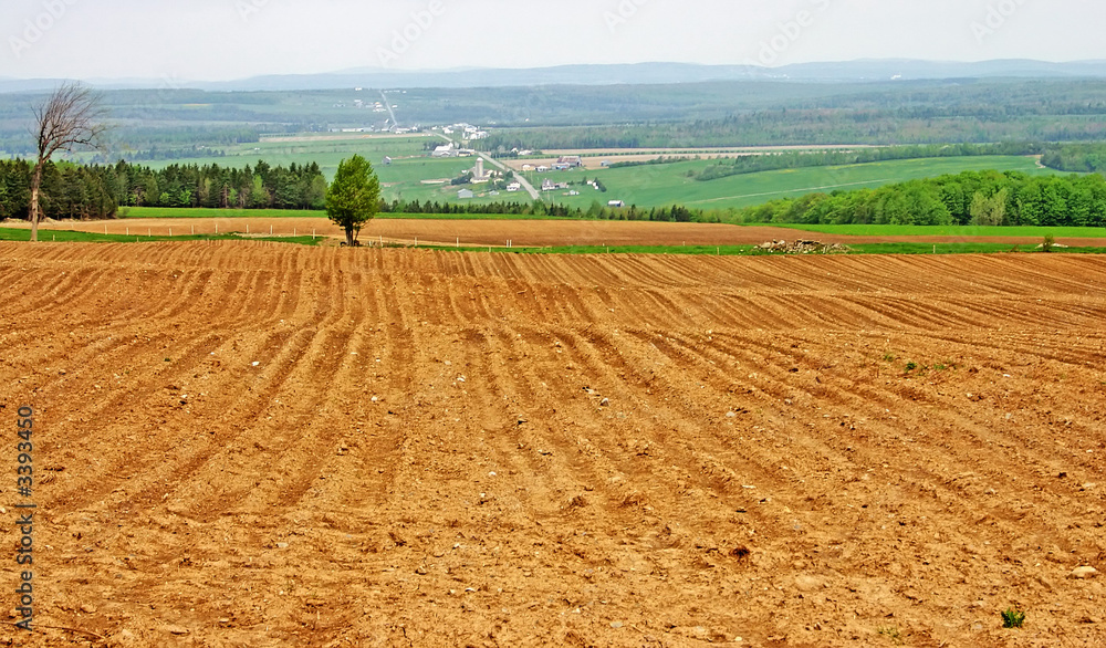 country agriculture field country agriculture field