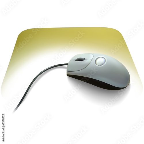 computer mouse