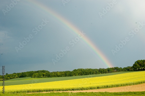 avant l'orage