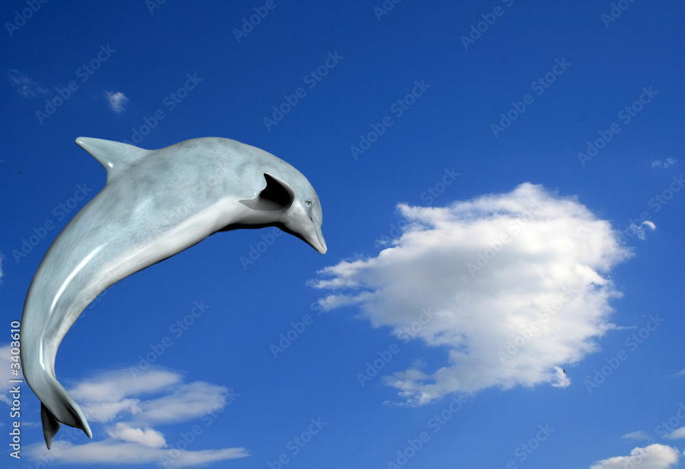 Obraz premium dolphin