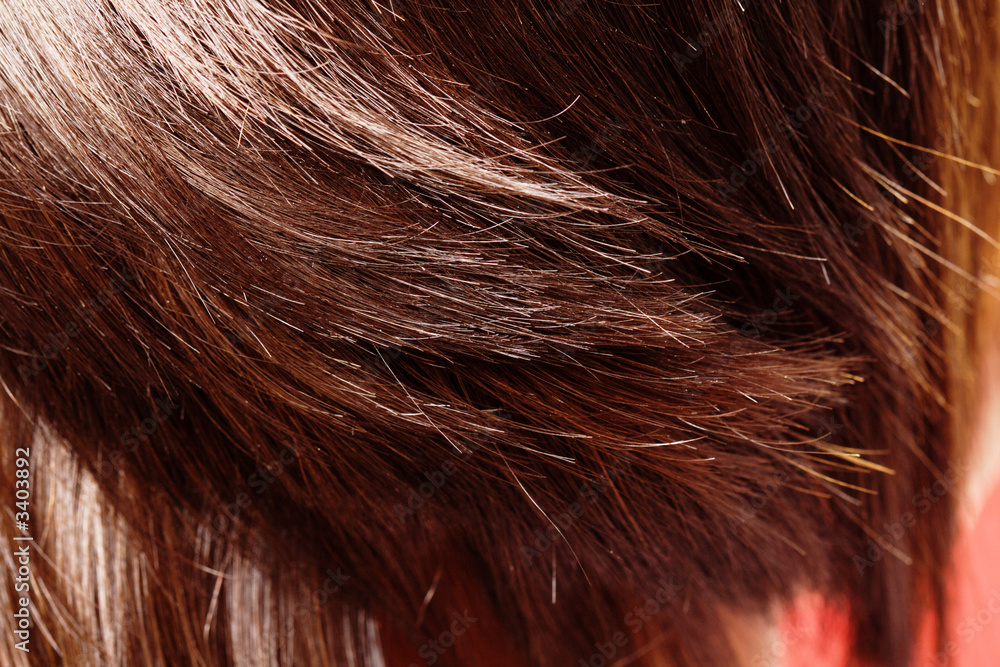 Fototapeta premium hair