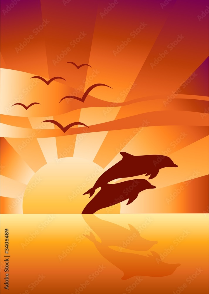 Fototapeta premium two dolphins swimming in sunset background