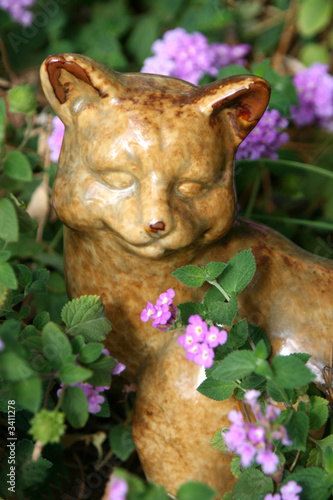garden kitty