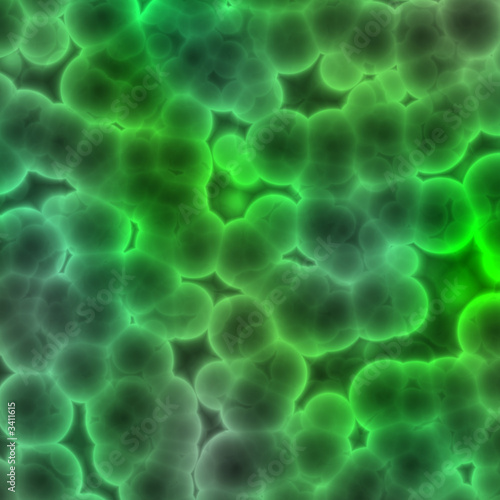 bacteria under microscope photo