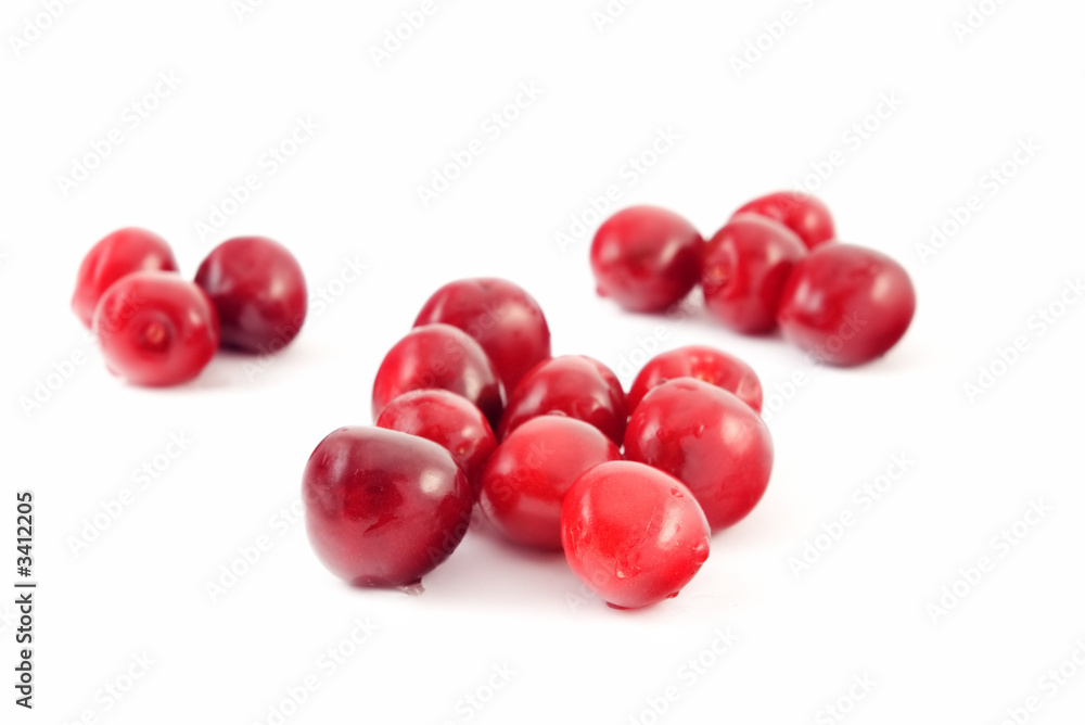 sour cherry sour cherry