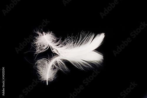 plume