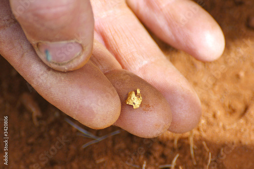 la pépite d'or