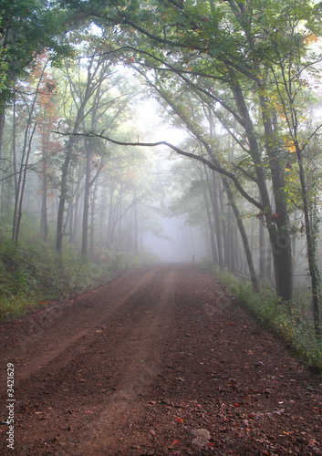 foggy country road