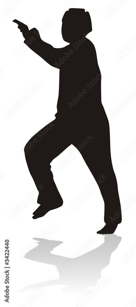 silhouette of martial arts silhouette of martial arts