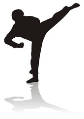 Ingelijste posters Vechtsport Silhouet van krachtige karate trap  © Alex