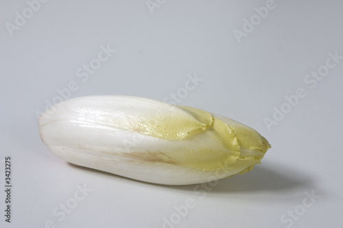 chicory