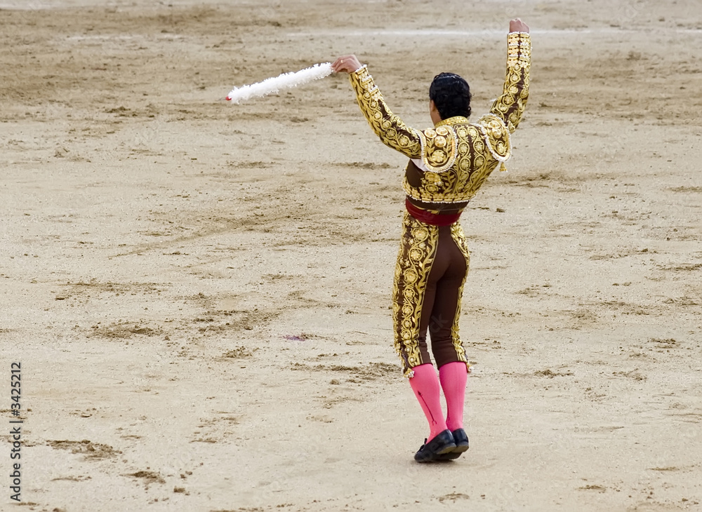 Fototapeta premium banderillero