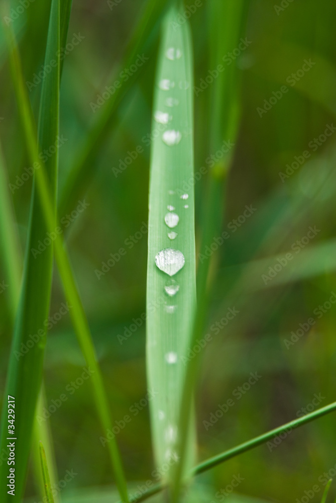 drop drop