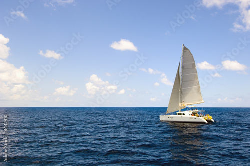 white catamaran sailboat in open sea